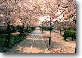 野山北公園自転車道